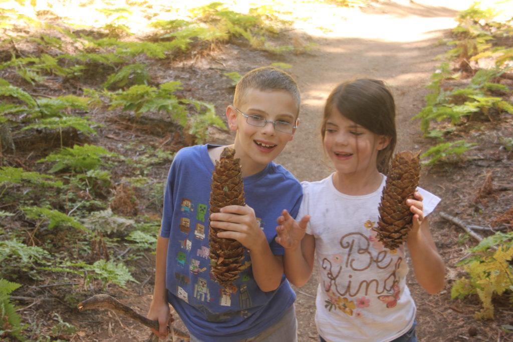 Kids with giant pinecones in the Giant Forest