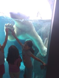 Kids give high five to a polar bear