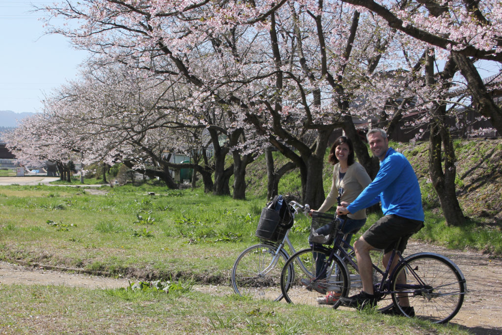 riding bikes in the cherry blossoms
