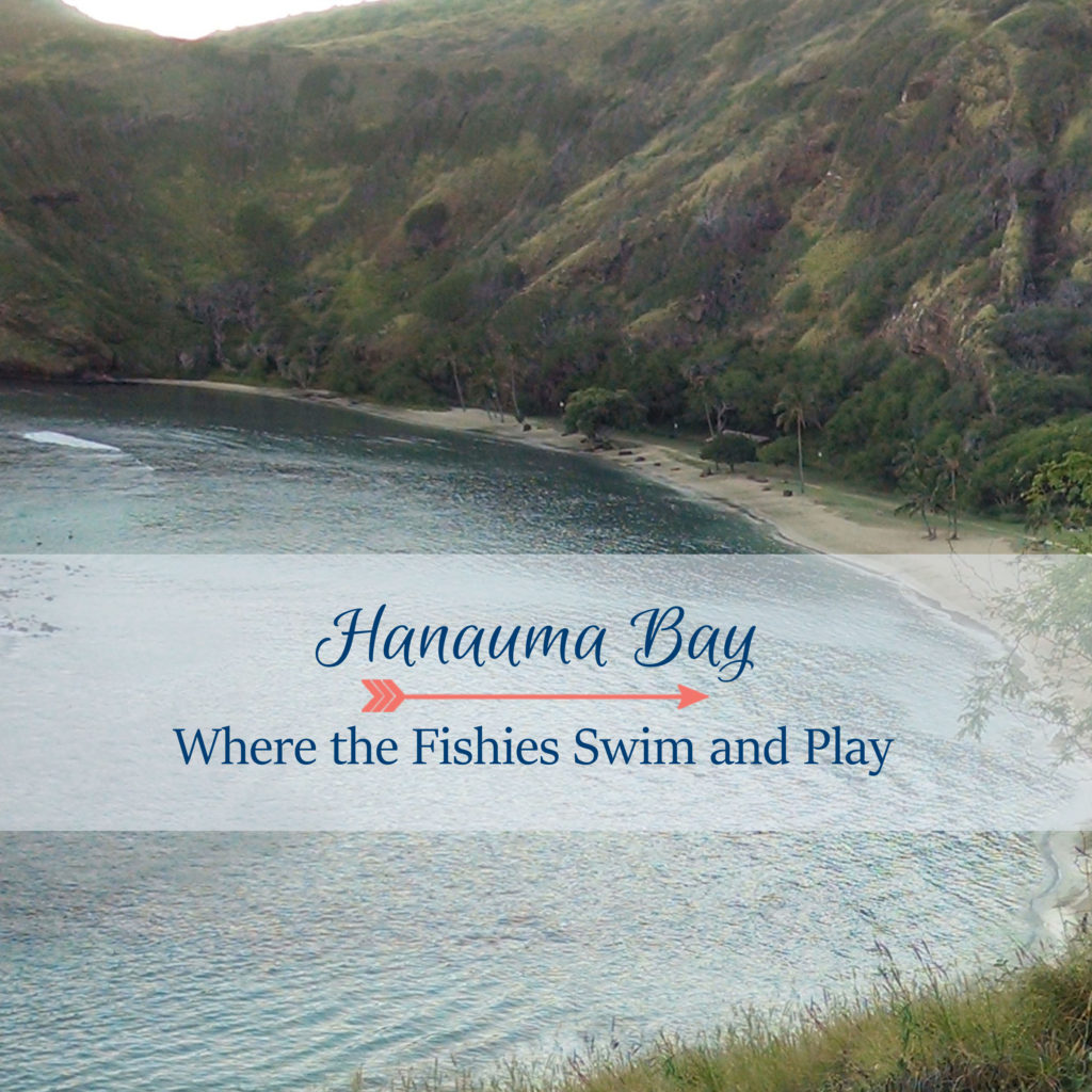 Hanauma Bay, Where the Fishies Swim and Play Family Snorkeling