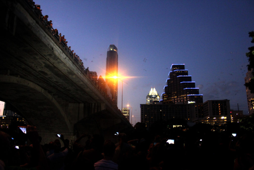 Bridge in Austin Texas where millions of bats fly in and out nightly