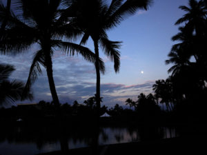 a blue sunset in Big Island Hawaii, lined with palm trees