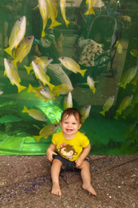 A baby sitting in front of an aquarium of yellow fish at Sea World, San Diego California