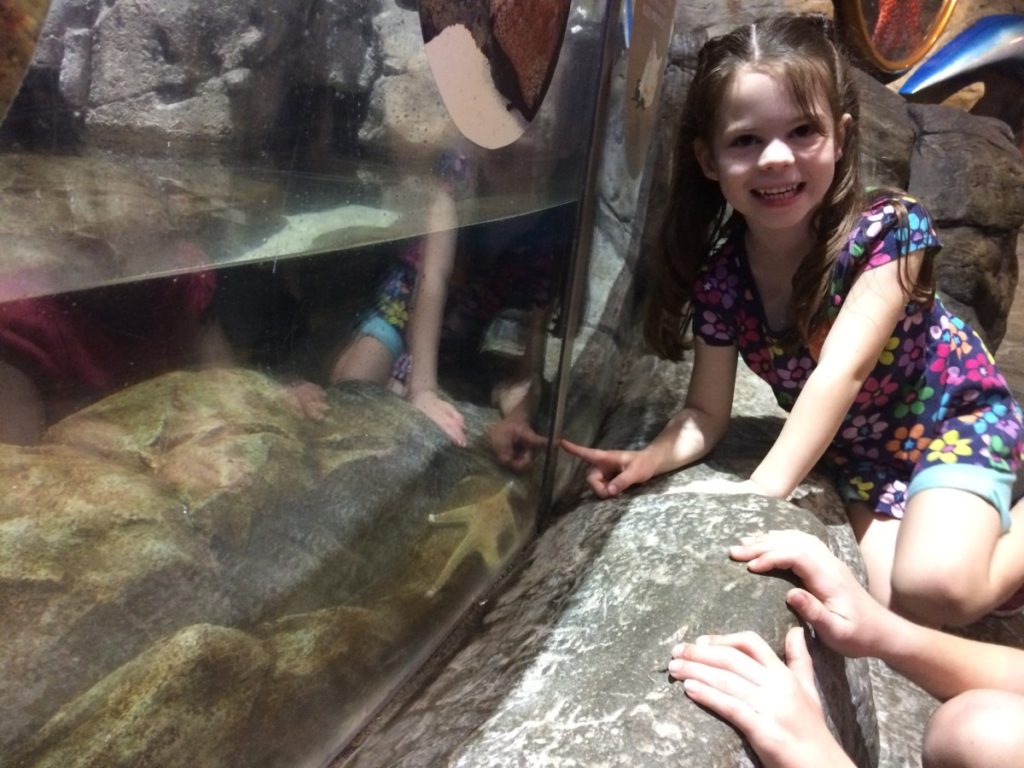 A girl excited to see a starfish at the Grand Aquarium at Ocean Park Hong Kong