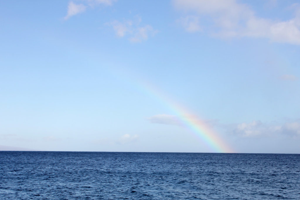 a rainbow rises from the blue ocean into the blue sky