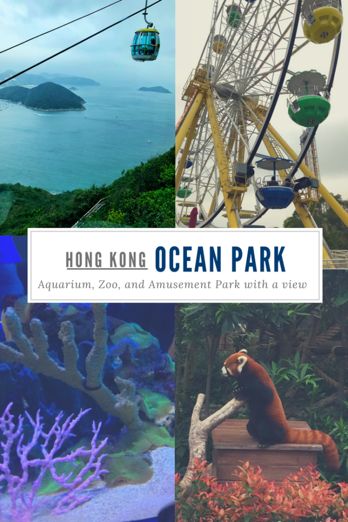 4 photos from Ocean Park in Hong Kong