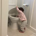 A toddler reaches into the toilet