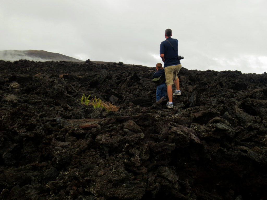 Lava fields of Bid island Hawaii