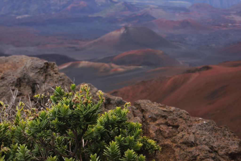 View from the top of the volcano at Haleakala National Park in Maui, Hawaii