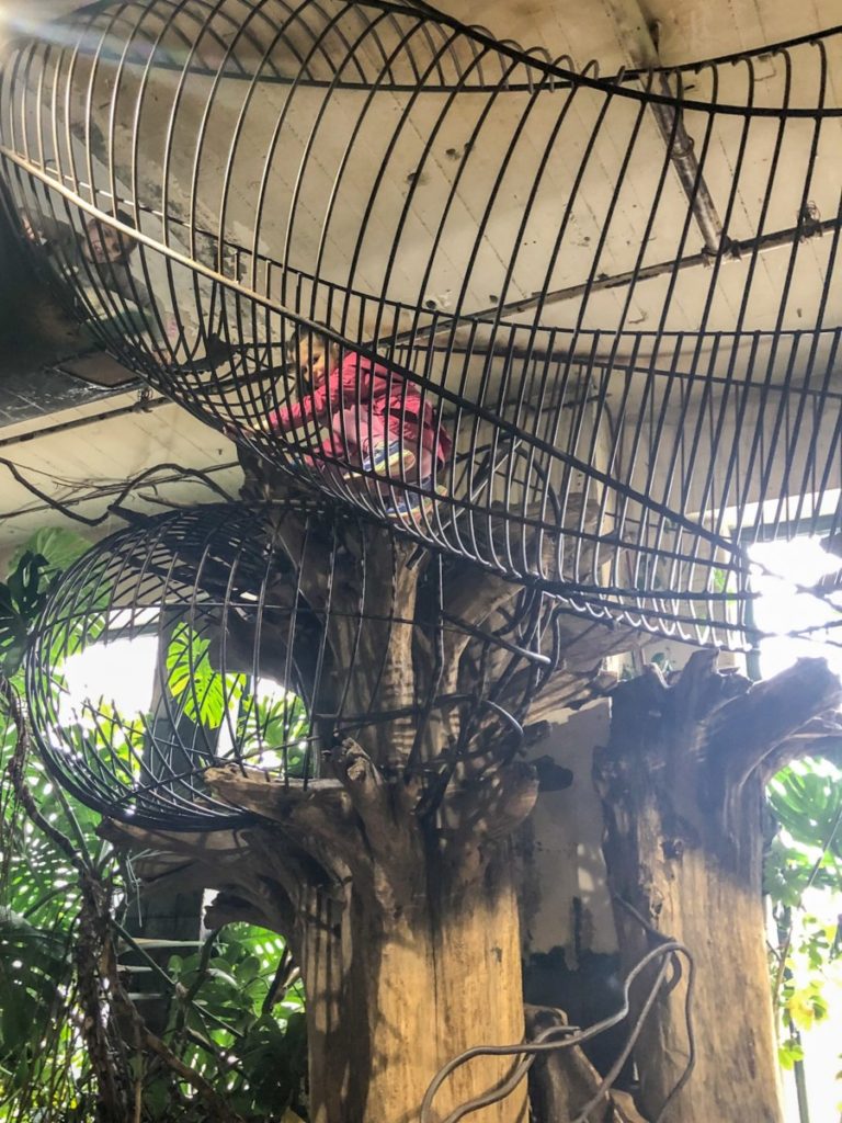 a young girl climbs above the trees at the City Museum
