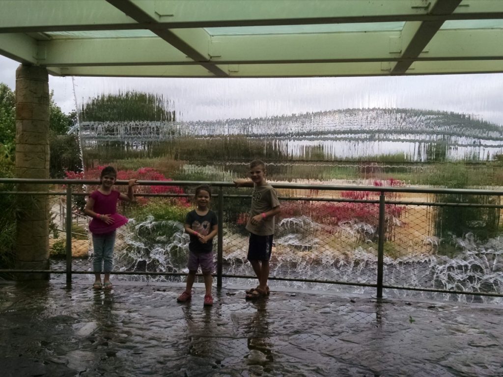 3 kids standing under the Waterfall at the Dallas Arboretum in Summer