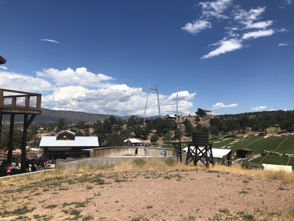 The view of the Skycoaster at Royal Gorge and Bridge Park