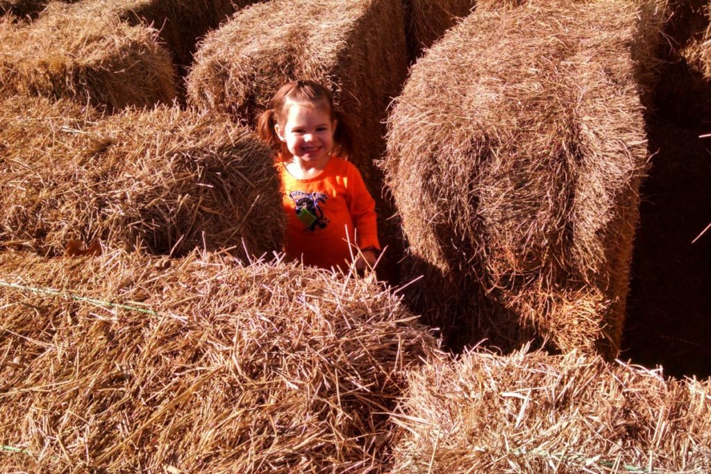 Toddler in a Hay bale Maze in the fall in DFW