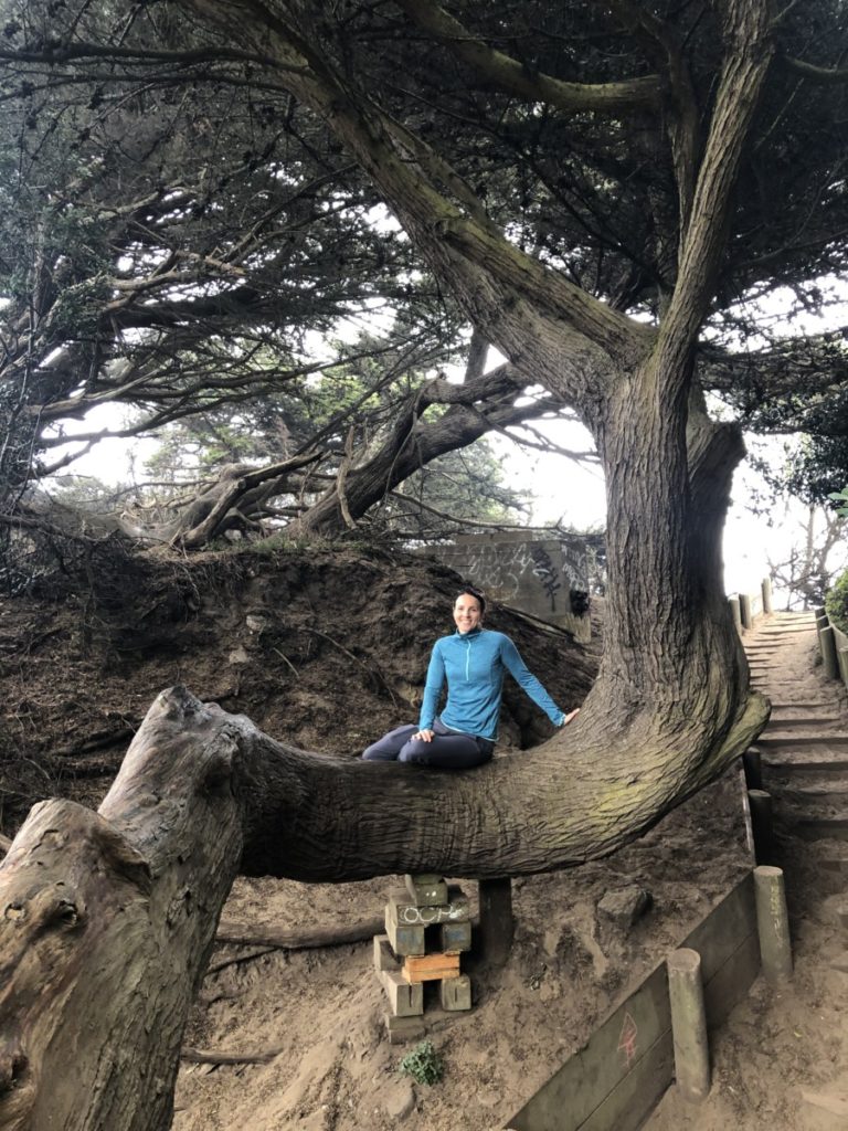 A woman sits on Warped Tree at Lands End Golden Gate National Recreation Area in San Francisco