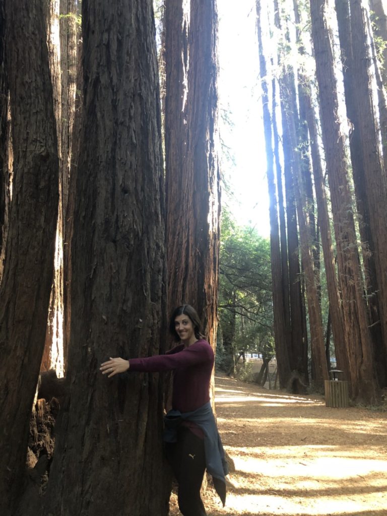 a woman Hugs a Redwood in Mill Valley, California
