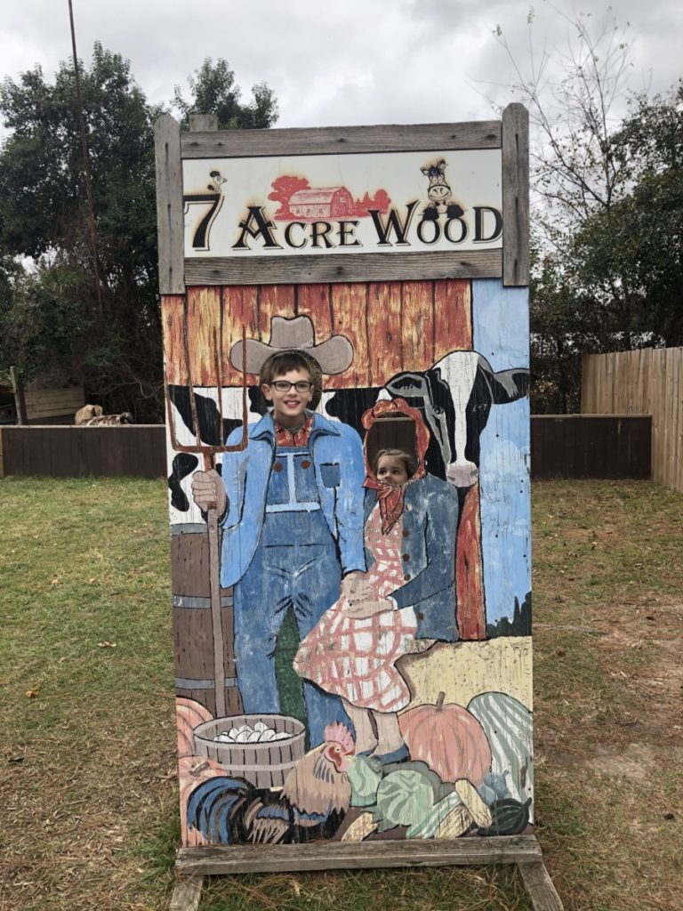 7 Acre Wood boy and sister pose behind wooden sign
