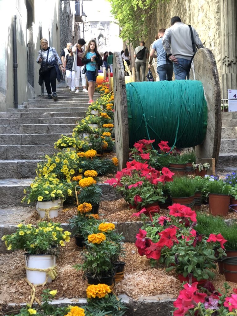 Flowers lining the stairs in Girona, Spain at the Flower Festival