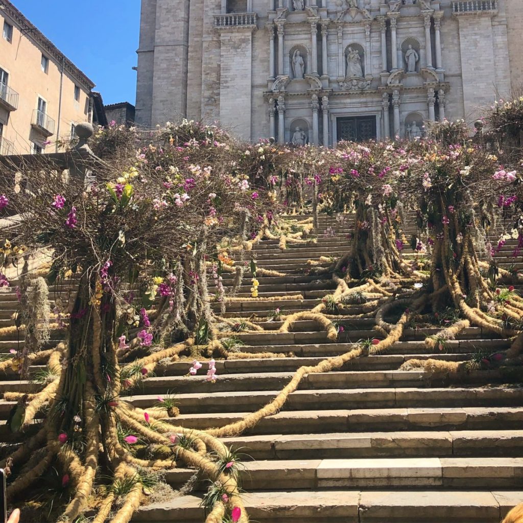 Large tree formations adorn the Cathedral steps in Girona during the Flower Festival in 2019 Spain