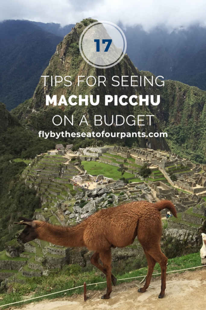 Pin with a photo of macchu picchu llama in the foreground