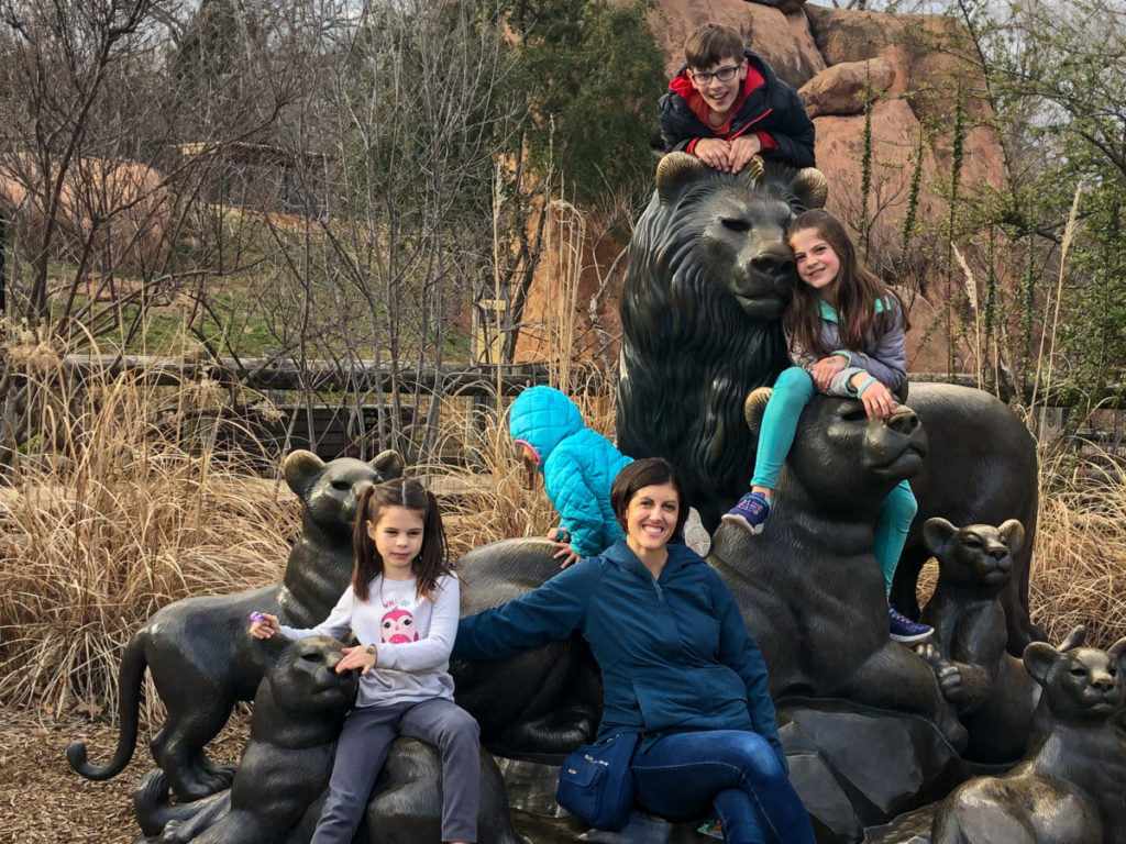 Mom and 4 kids with lion and herd at the Oklahoma City zoo OKC with kids