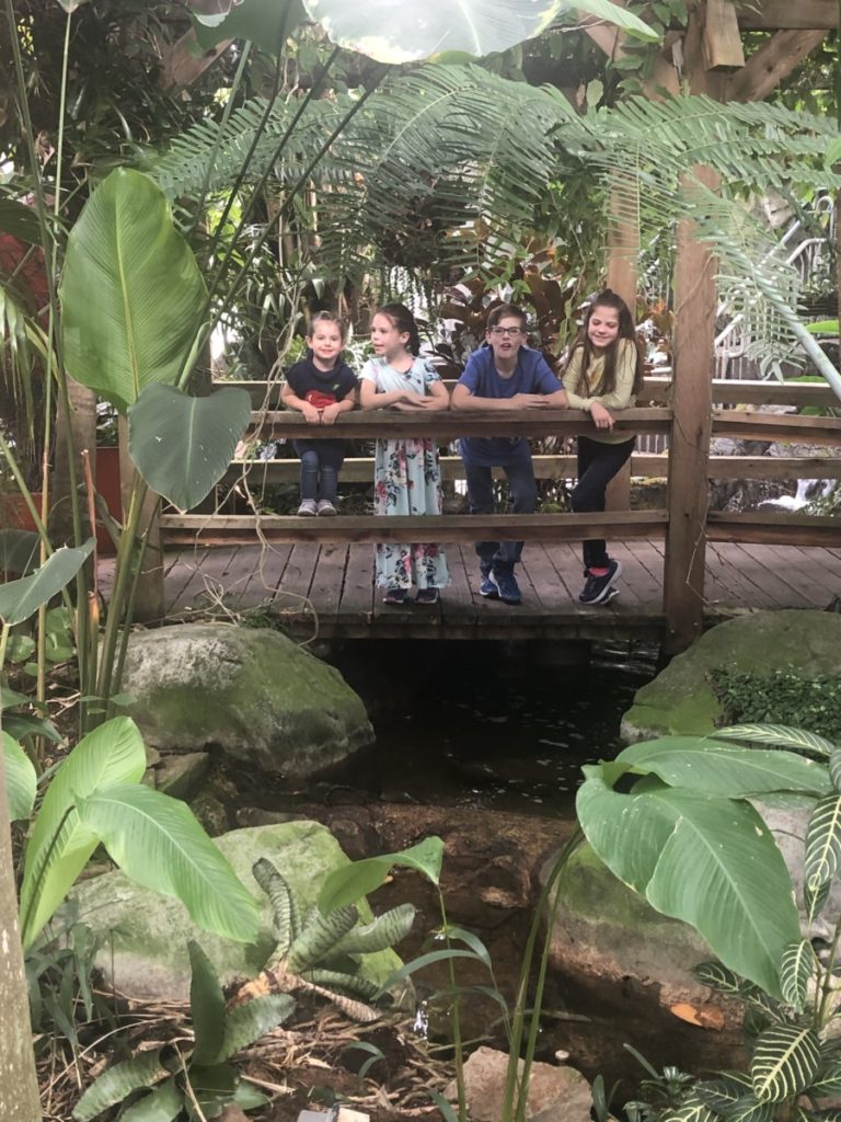 4 kids stand on a boardwalk surrounded by rainforest trees in Myriad Botanical Garden's Crystal Bridge in OKC
