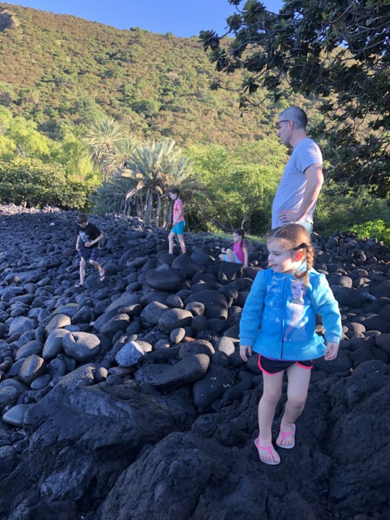 Dad and 4 kids throw rocks in the bay at View of Captain Cook's monument 