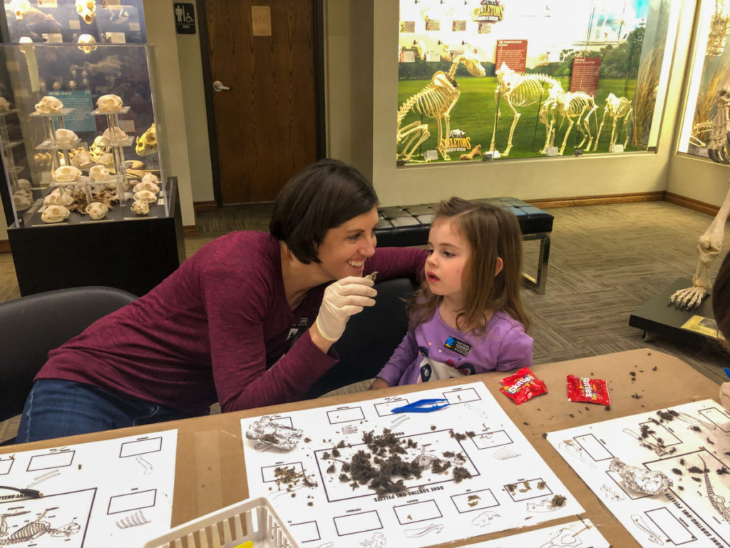 Mom shows toddler an owl pellet to dissect at the Osteology Musuem in OKC
