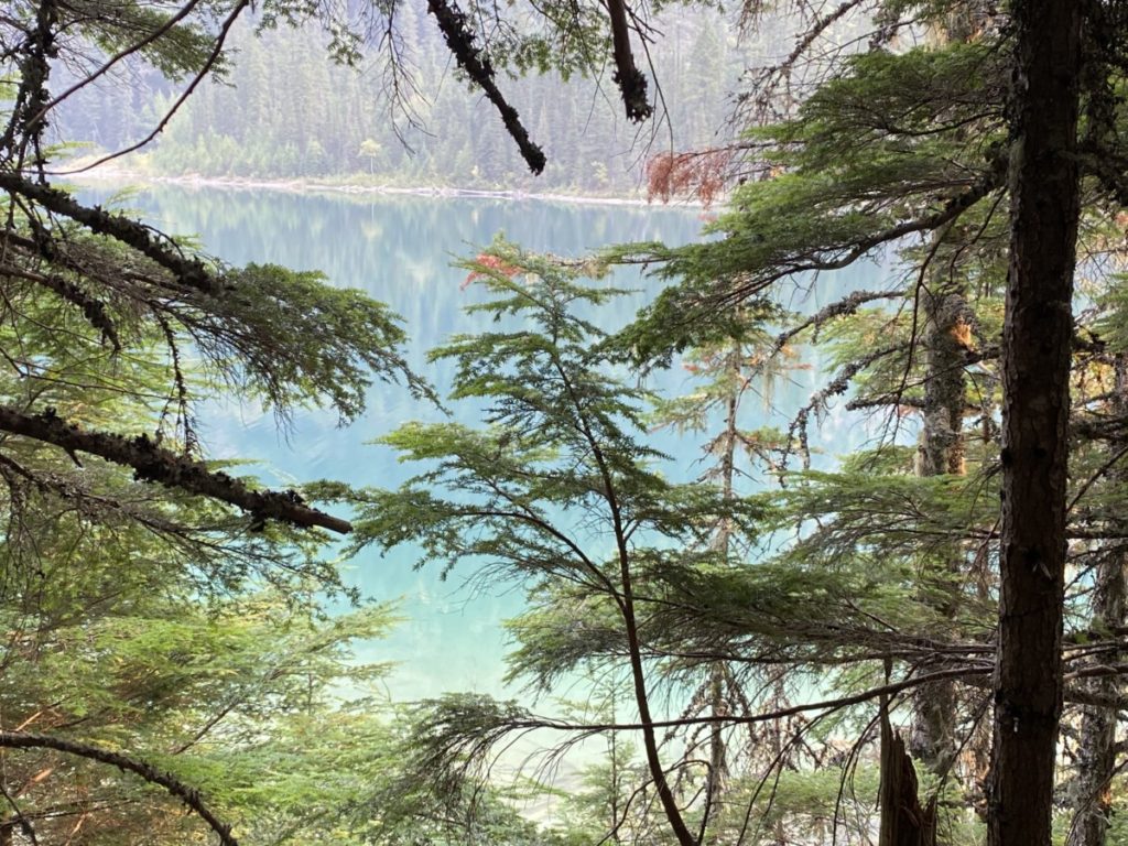 Green trees and blue waters of avalanche lake in Glacier National Park