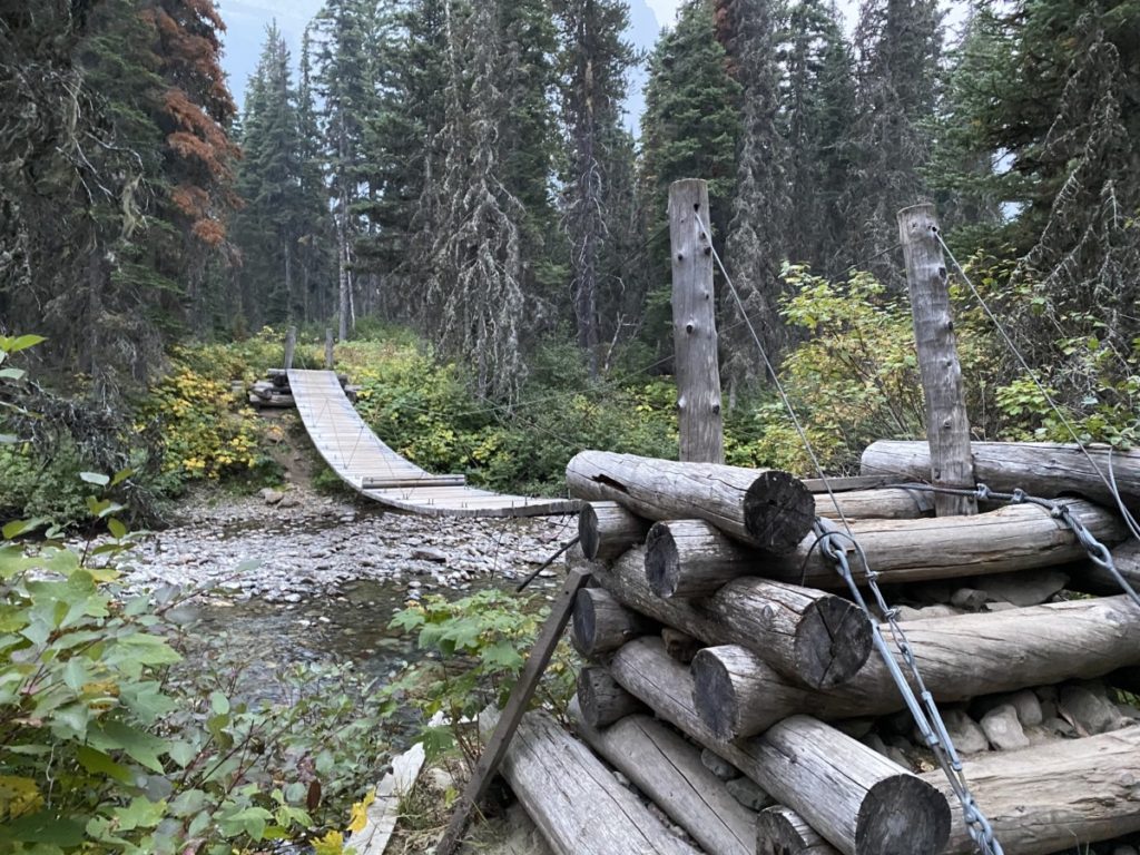 wooden bridge swings over the top of a small creek along Florence Falls Hiking Trail in Glacier National Park
