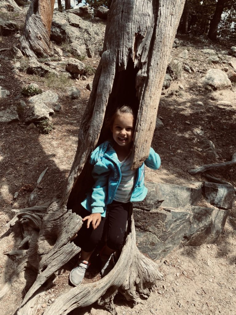 A young girl inside a hollow tree log in Rocky Mountain National Park