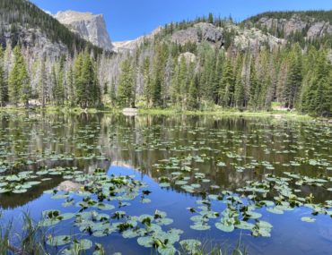 A lily-pad covered lake at the base of Rodky Mountains called Nymph Lake