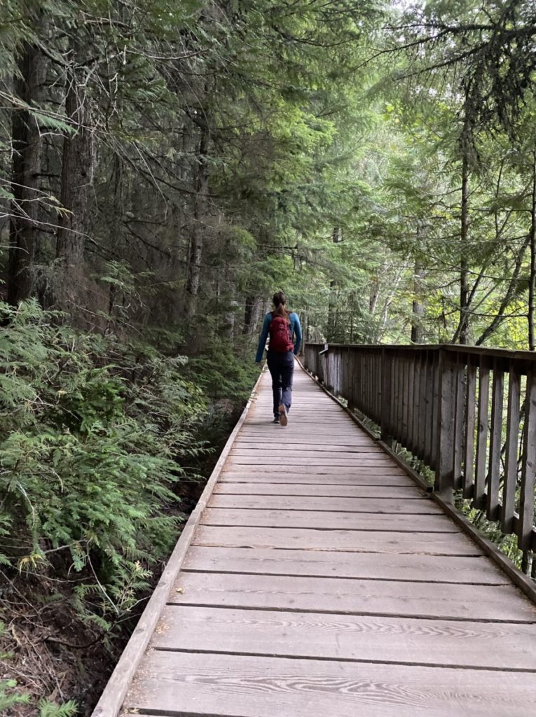 A woman walks on the Board walks along the 1 mile Trail of the Cedars hike in Glacier National Park