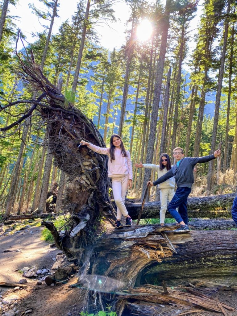 3 kids on a log hiking to avalanche lake in Glacier National Park