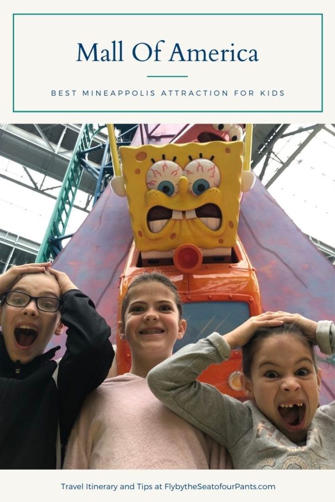 Pin for the Mall of America, Kids screaming at Rock bottom Plunge ride