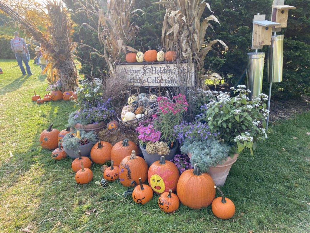 Holden Arboretum pumpkin display