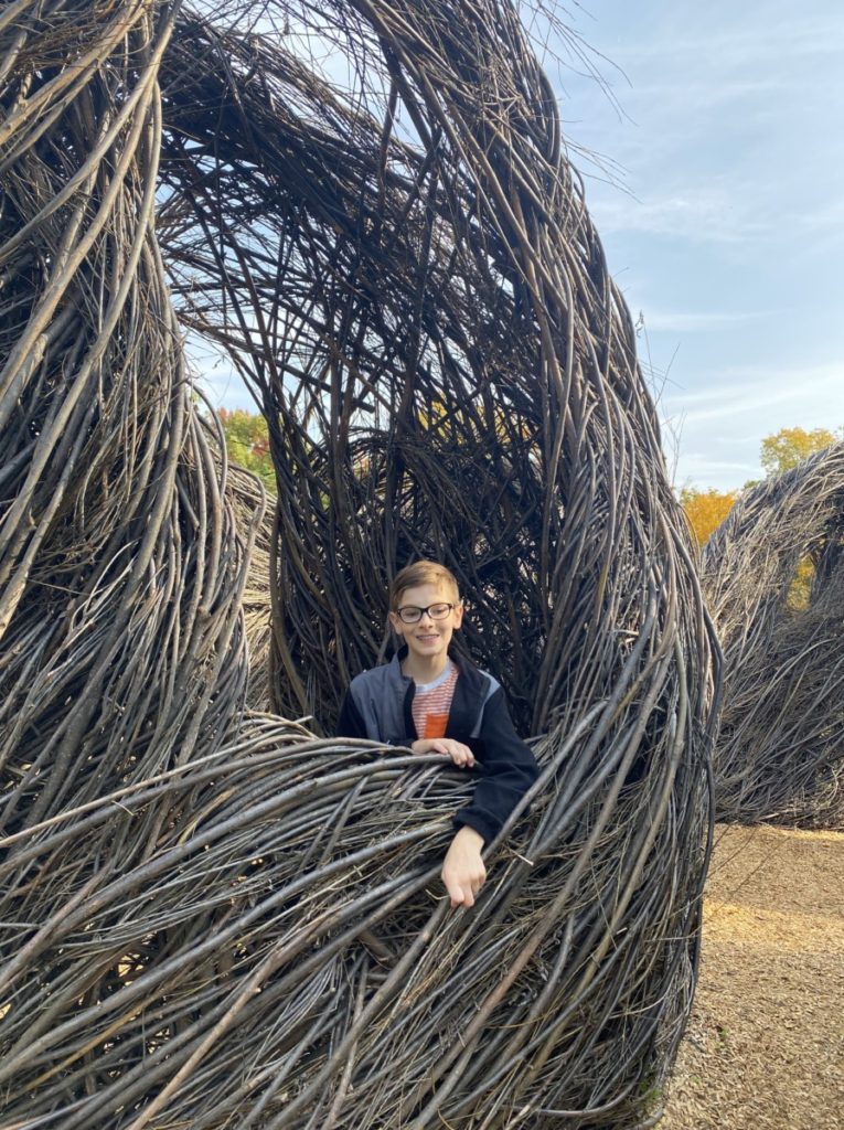 A boy stands inside the stickworks willow branch creation at the Holden Arboretum