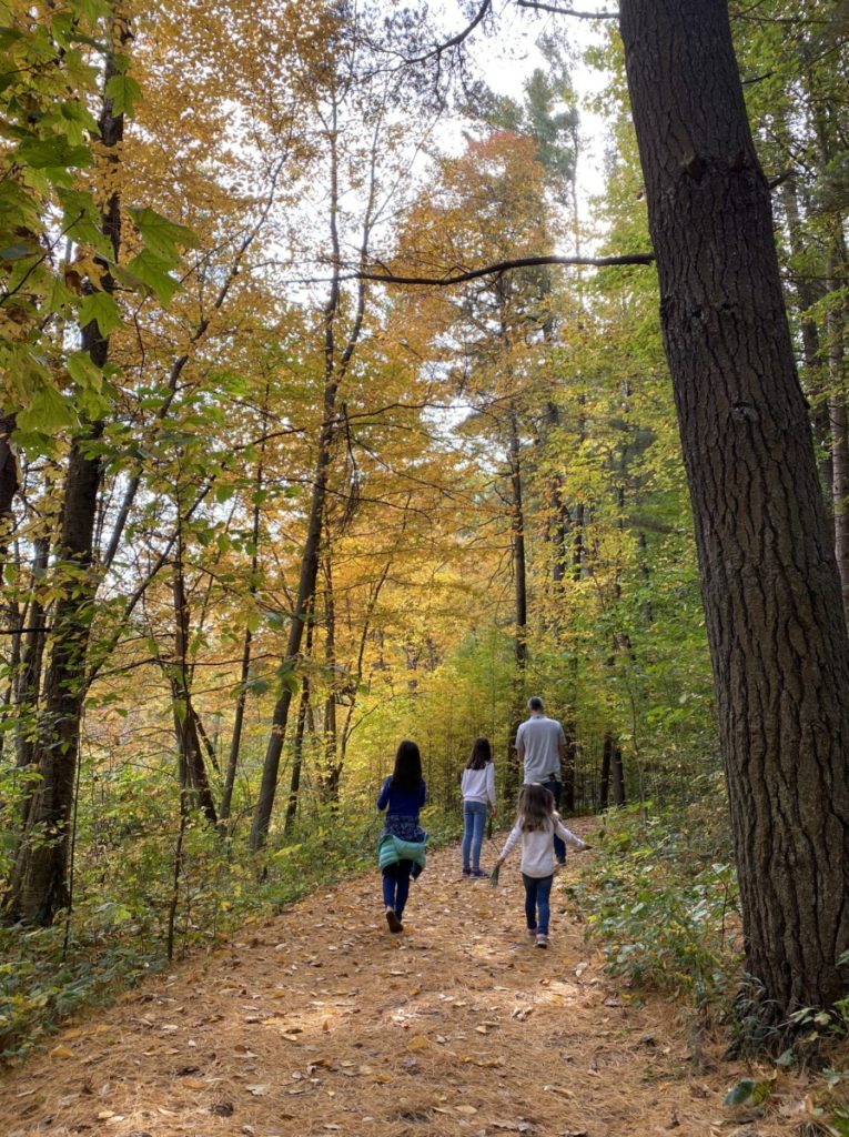 Dad and 3 girls walking a leaf-covered path in the Holden Arboretum