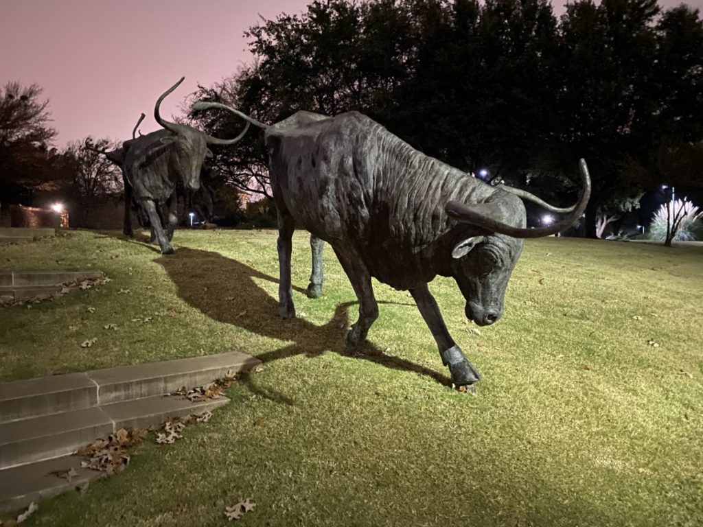 2 long horn Cattle statues at Central Park in Frisco Texas