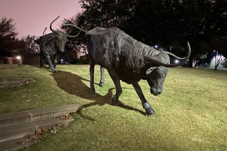 2 long horn Cattle statues at Central Park in Frisco Texas