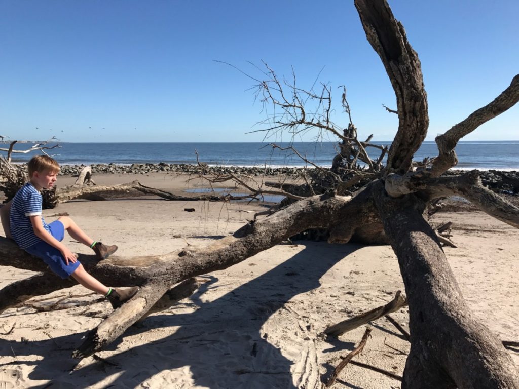 Driftwood Beach with a boy sitting on a large log in Georgia