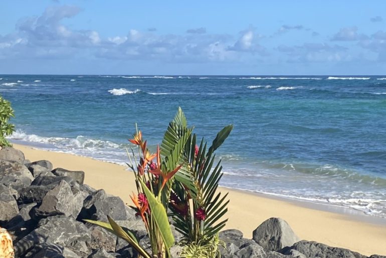 Hawaii plants and beach