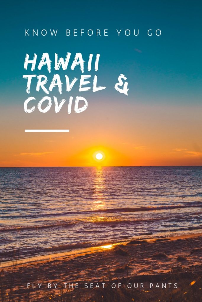 Hawaii Travel and Covid What you need to know before going to Hawaii during the COVID pandemic 