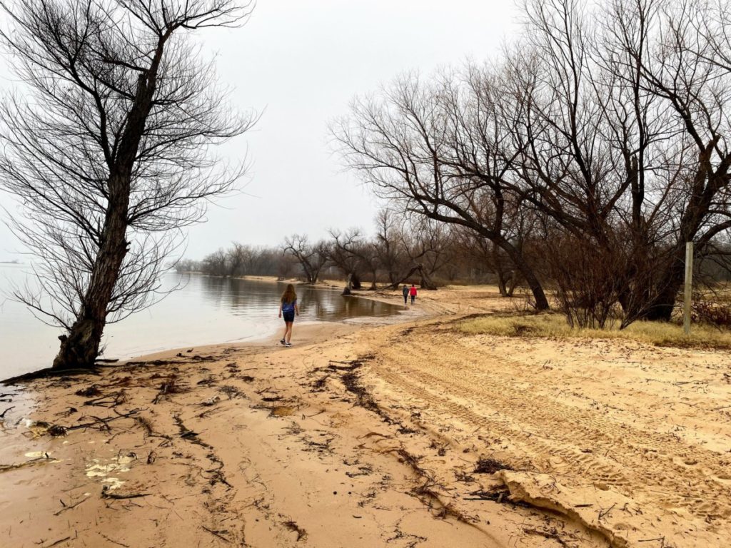 The shore of Lake Texoma in the winter
