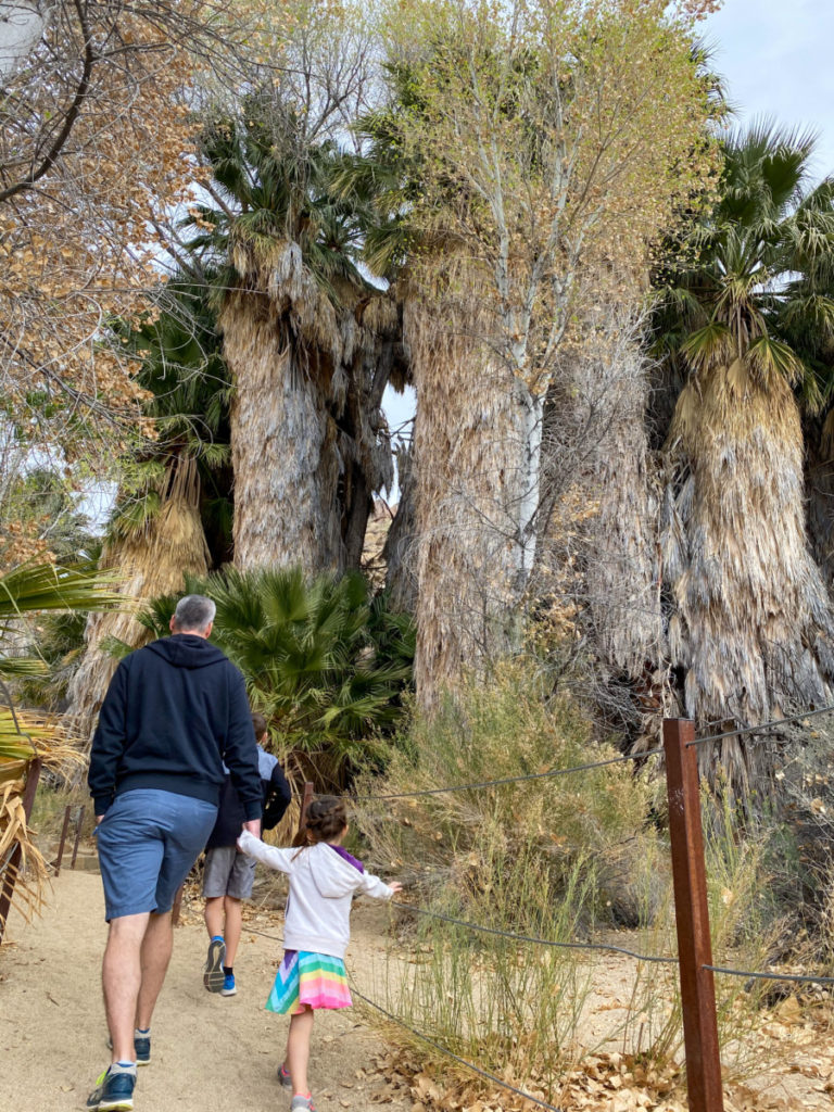 dad and daughter hiking to the cottonwood springs oasis