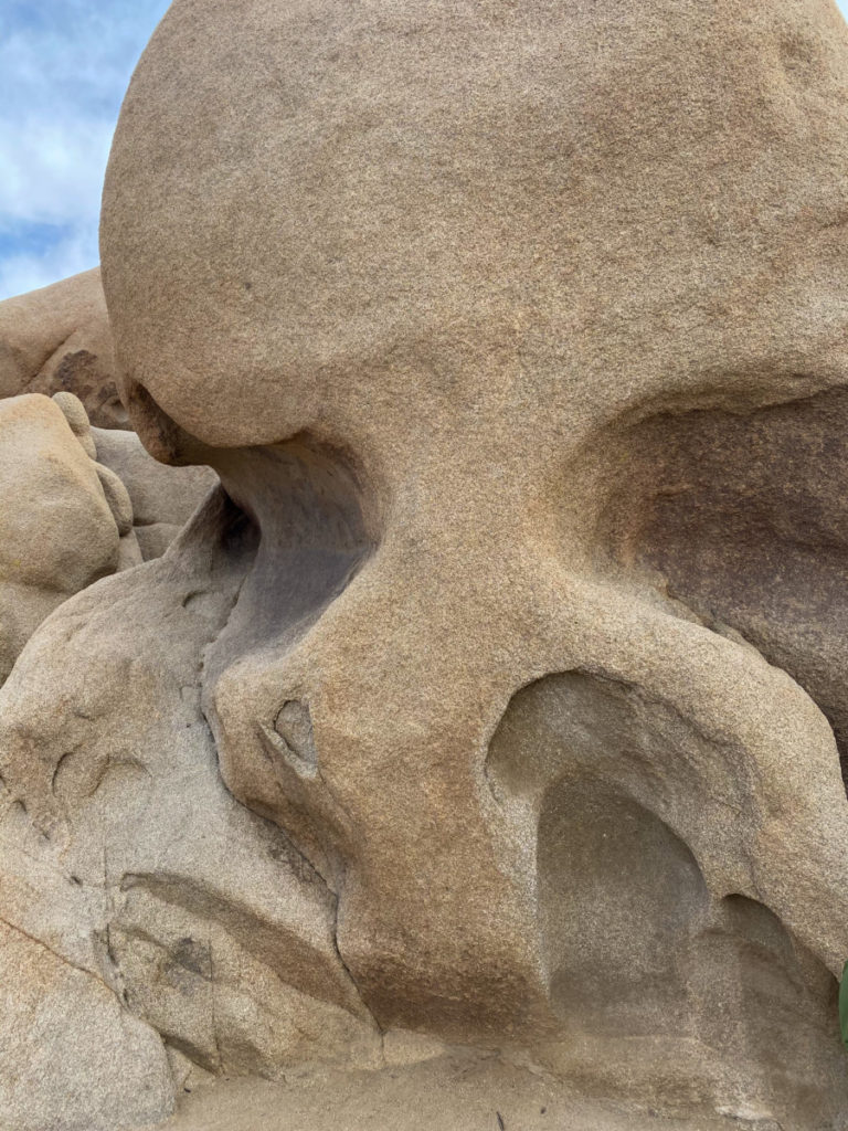 Skull rock at Joshua Tree National Park