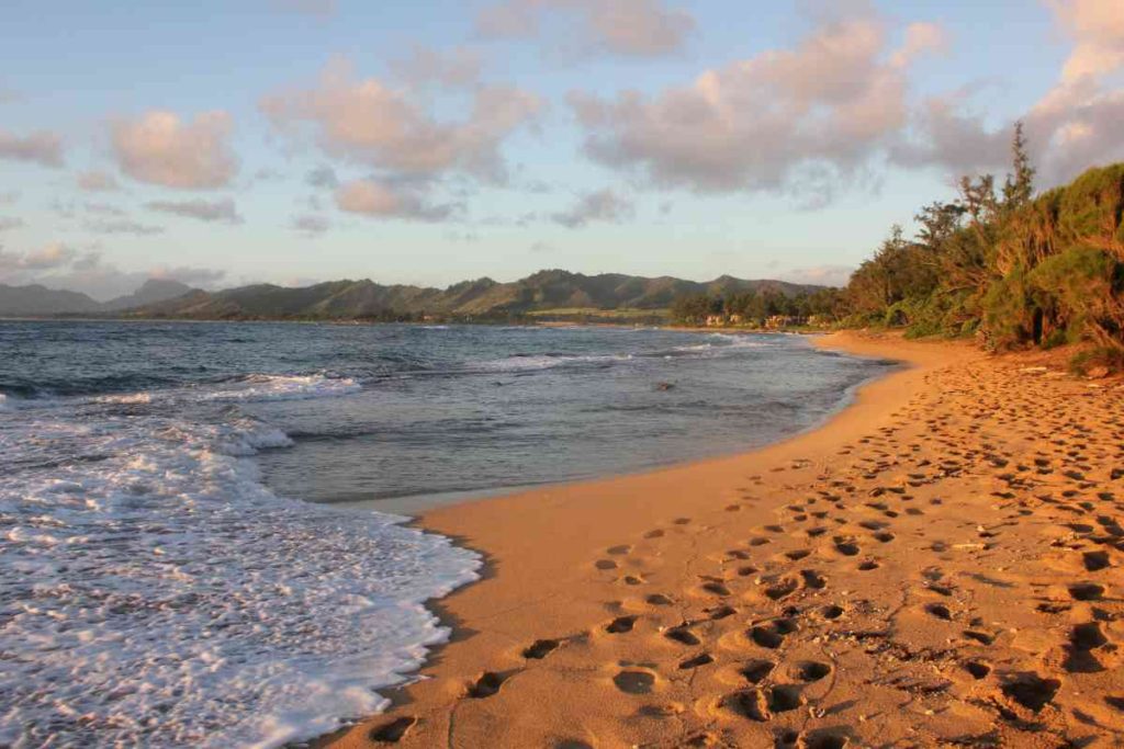 Coconut Beach in the Morning Kauai