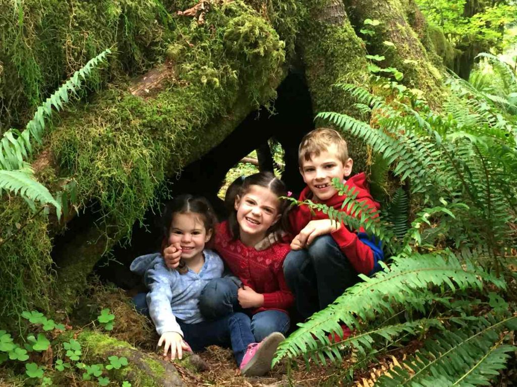 Kids in a hollow tree trunk in Hoh Rainforest