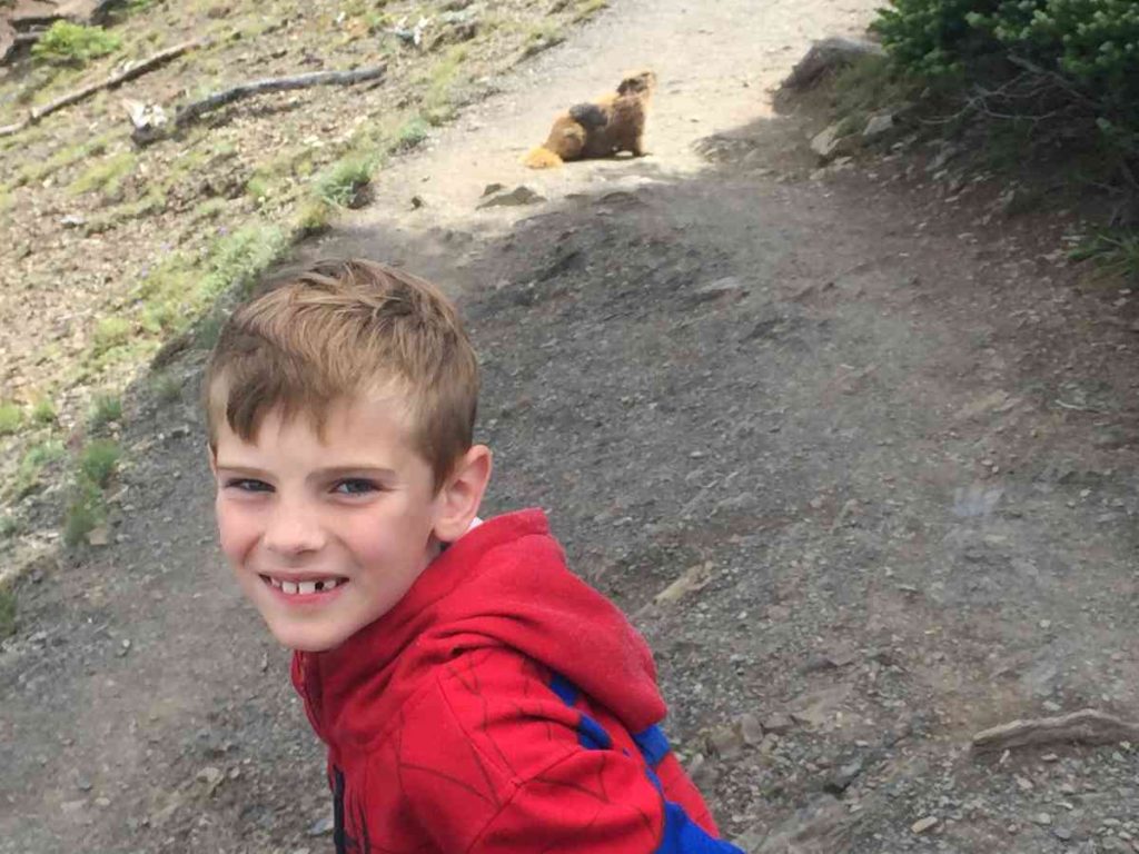 Boy with a Marmott at Hurricane Ridge
