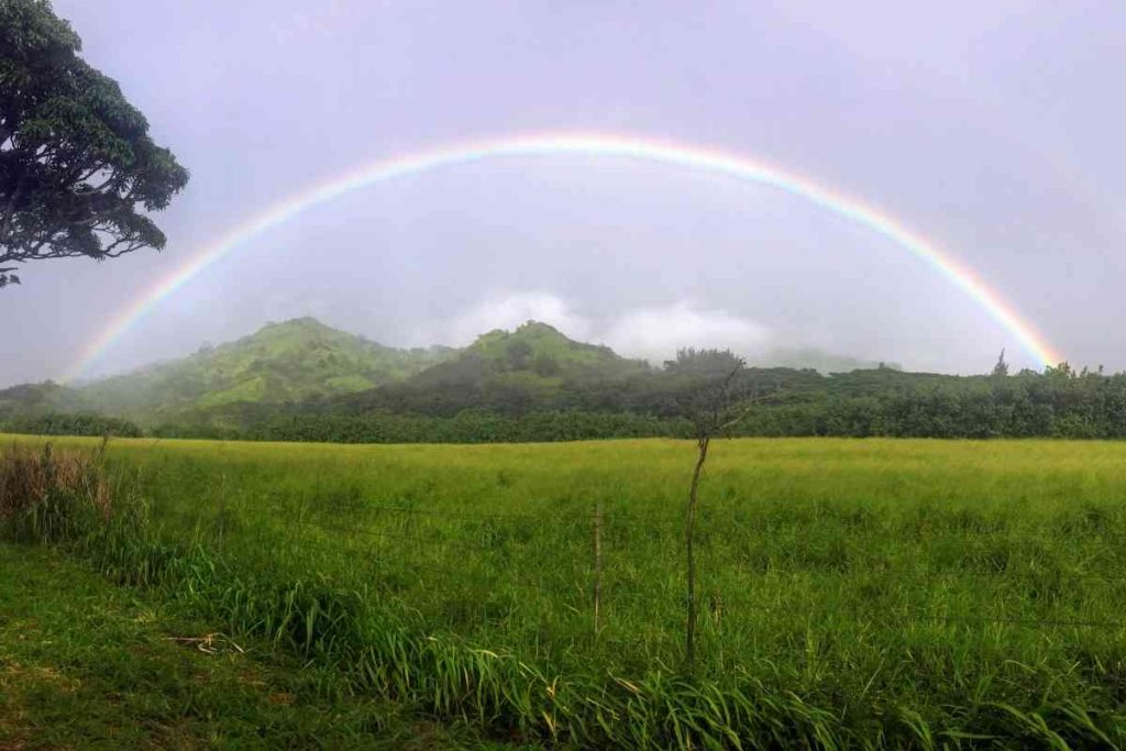 North Shore Rainbow on Kauai