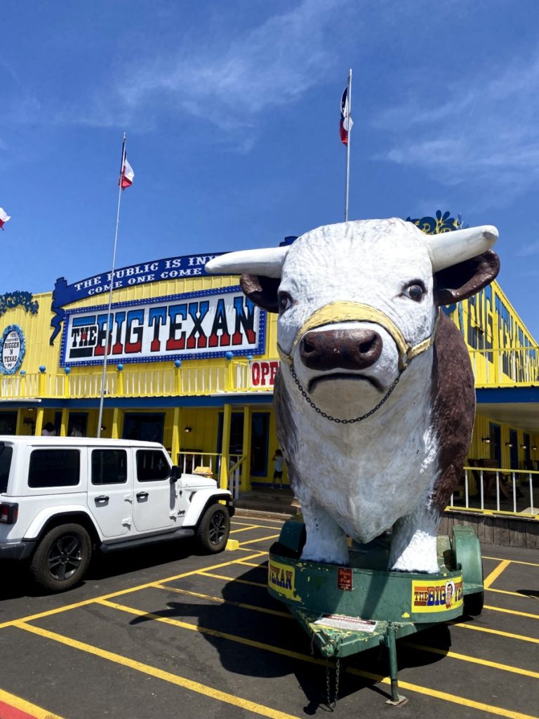 Cow at Big Texan Amarillo